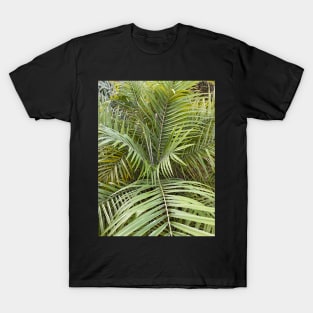 Palm Leaves T-Shirt